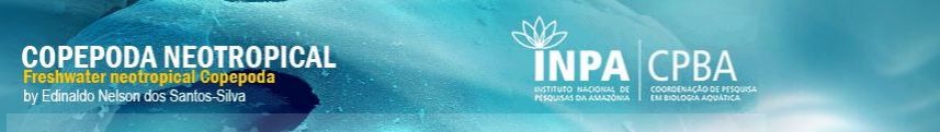Project banner